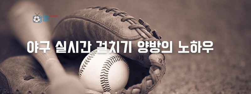 야구 실시간 걸치기 양방의 노하우