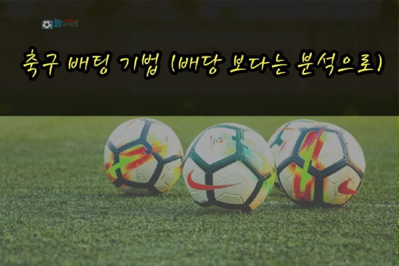 축구 배팅 기법 배당 보다는 분석