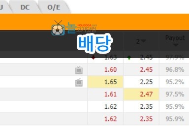 토토배당의 오류