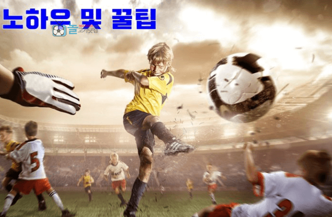 축구배팅 노하우 및 꿀팁