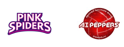 12월10일 V리그 여자프로배구 흥국생명 vs 페퍼저축은행 분석