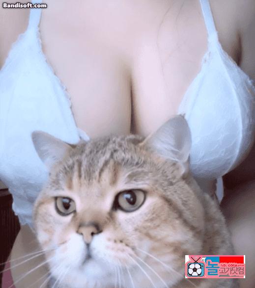 bc0929a00338577f4527244f199b115b_1761577431_0696.gif bc0929a00338577f4527244f199b115b_1761577431_0696.gif