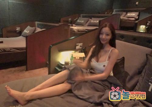 모델