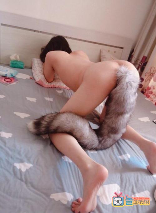 꼬리가 어디에...?