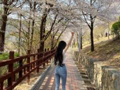 청바지핏